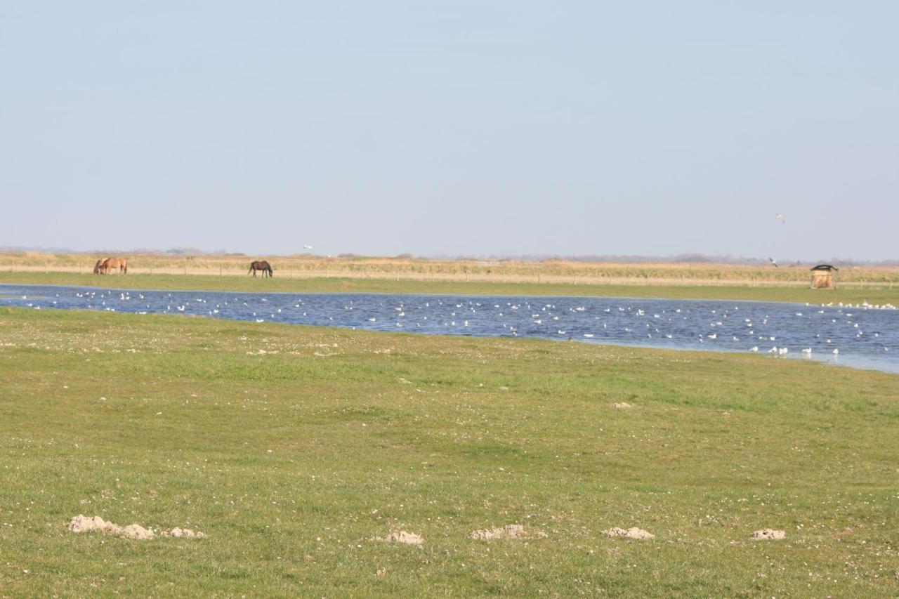 A Cote De La Mer Ault Dış mekan fotoğraf